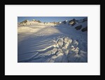 Fox Glacier by Anonymous