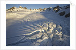 Fox Glacier by Anonymous