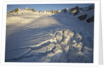 Fox Glacier by Anonymous