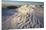 Fox Glacier by Anonymous