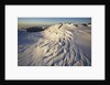 Fox Glacier by Anonymous