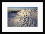 Fox Glacier by Anonymous
