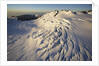 Fox Glacier by Anonymous