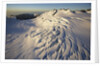Fox Glacier by Anonymous