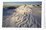Fox Glacier by Anonymous