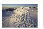 Fox Glacier by Anonymous