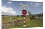 Railroad Crossing by Anonymous