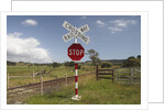 Railroad Crossing by Anonymous