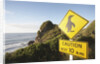 Penguin Crossing Sign by Anonymous