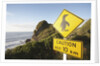 Penguin Crossing Sign by Anonymous
