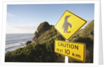 Penguin Crossing Sign by Anonymous
