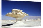 Limestone Formations in the Libyan Desert by Anonymous