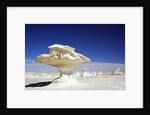 Limestone Formations in the Libyan Desert by Anonymous