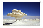 Limestone Formations in the Libyan Desert by Anonymous