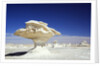 Limestone Formations in the Libyan Desert by Anonymous