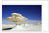 Limestone Formations in the Libyan Desert by Anonymous