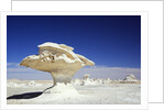Limestone Formations in the Libyan Desert by Anonymous