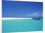 Boat at Tropical Beach by Anonymous
