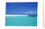 Boat at Tropical Beach by Anonymous
