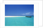 Boat at Tropical Beach by Anonymous