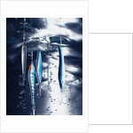 Fishhooks by Anonymous