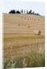 Bales of Hay on Tuscan Farm by Anonymous