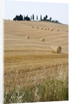Bales of Hay on Tuscan Farm by Anonymous