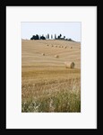Bales of Hay on Tuscan Farm by Anonymous