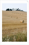 Bales of Hay on Tuscan Farm by Anonymous