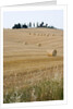 Bales of Hay on Tuscan Farm by Anonymous