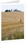 Bales of Hay on Tuscan Farm by Anonymous