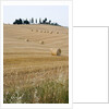 Bales of Hay on Tuscan Farm by Anonymous