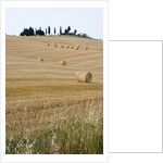 Bales of Hay on Tuscan Farm by Anonymous