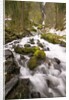 Waterfall by Anonymous