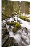 Waterfall by Anonymous