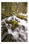 Waterfall by Anonymous