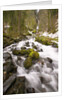 Waterfall by Anonymous