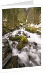 Waterfall by Anonymous