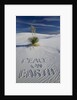 Peace On Earth Written in Sand by Anonymous