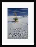 Peace On Earth Written in Sand by Anonymous