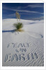 Peace On Earth Written in Sand by Anonymous