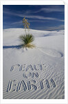 Peace On Earth Written in Sand by Anonymous