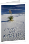 Peace On Earth Written in Sand by Anonymous