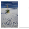 Peace On Earth Written in Sand by Anonymous