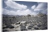 Scrubland and Rock Formations by Anonymous
