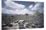 Scrubland and Rock Formations by Anonymous