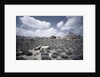 Scrubland and Rock Formations by Anonymous