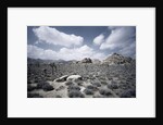 Scrubland and Rock Formations by Anonymous