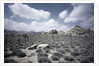 Scrubland and Rock Formations by Anonymous