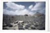 Scrubland and Rock Formations by Anonymous